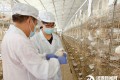 春風執(zhí)筆繪巾幗畫卷 柔肩擎旗綻時代芳華 河源新時代女性在各自崗位展現(xiàn)“她力量”