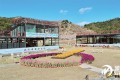 綠美河源|錦山秀水美庭院 綠美禮士展新顏 和平縣禮士鎮(zhèn)逐“綠”前行，奮力繪就綠美新畫卷