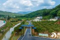 東源縣舉辦嘉寶果庭院經(jīng)濟現(xiàn)場會暨開園采摘活動 推動嘉寶果庭院經(jīng)濟向規(guī)�；a(chǎn)業(yè)化品牌化發(fā)展